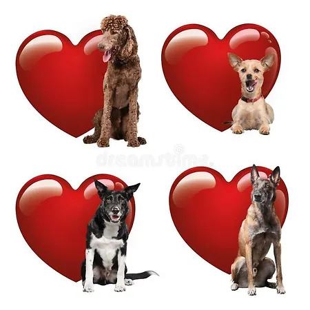 Historic Center Romantic ליסבון